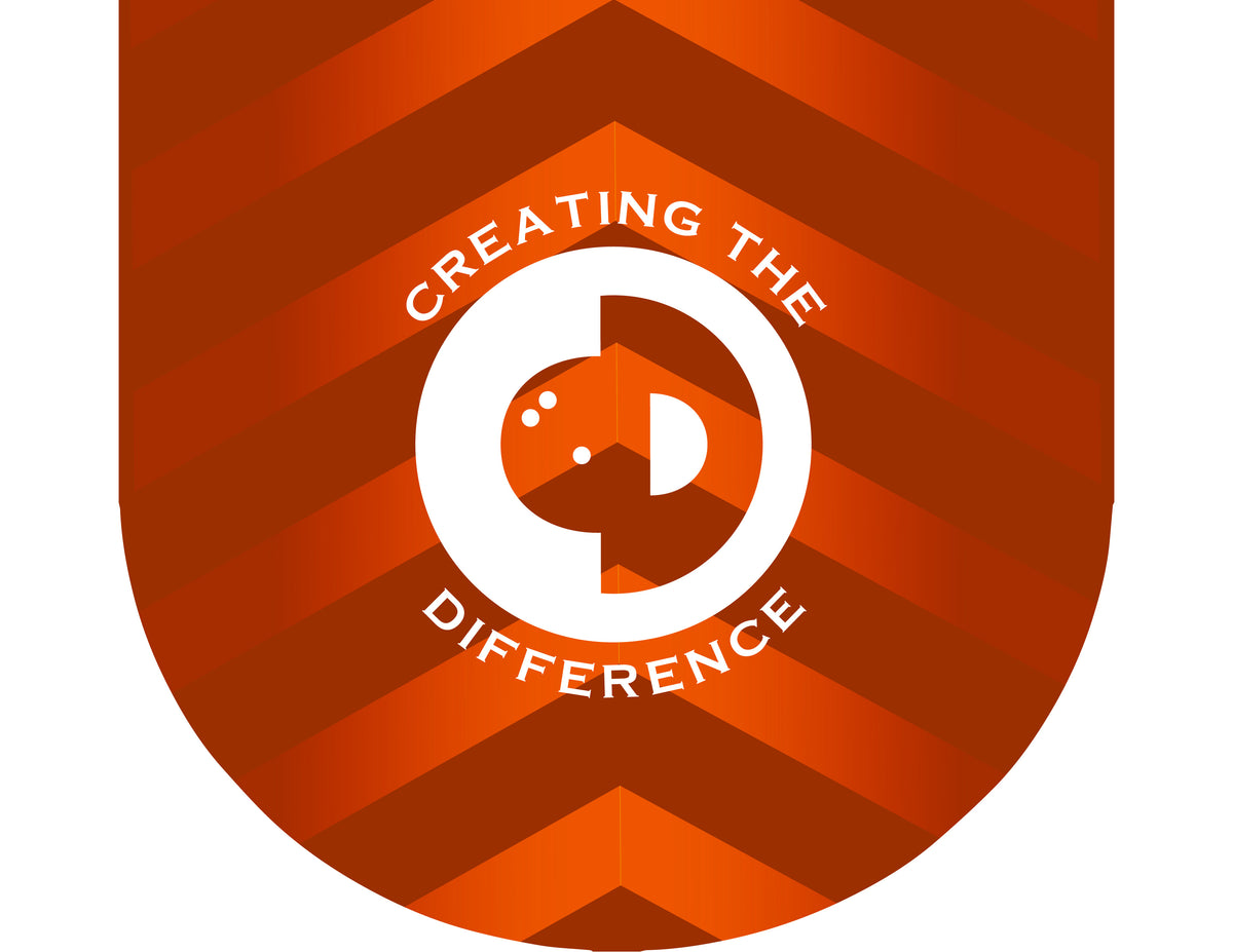 Bowling Accessories Orange Arrow Bowling Ball Bag Creating the