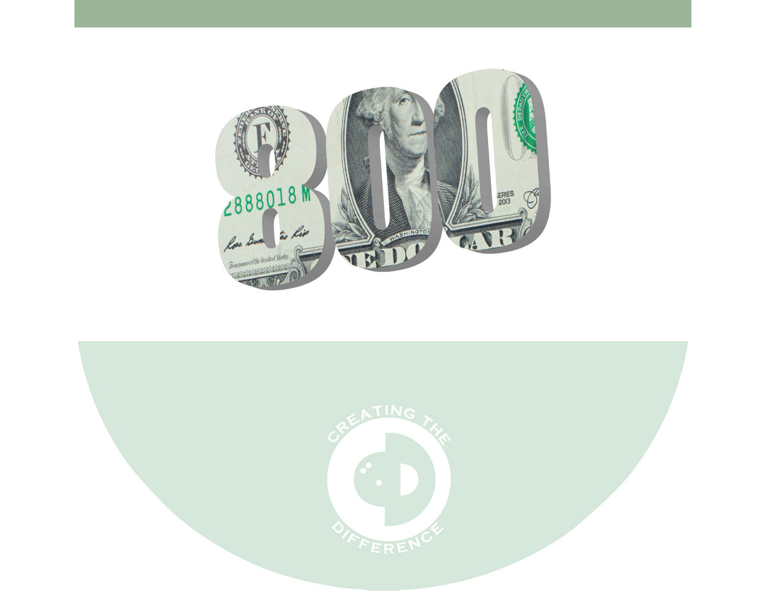 800 Series Ball Bag